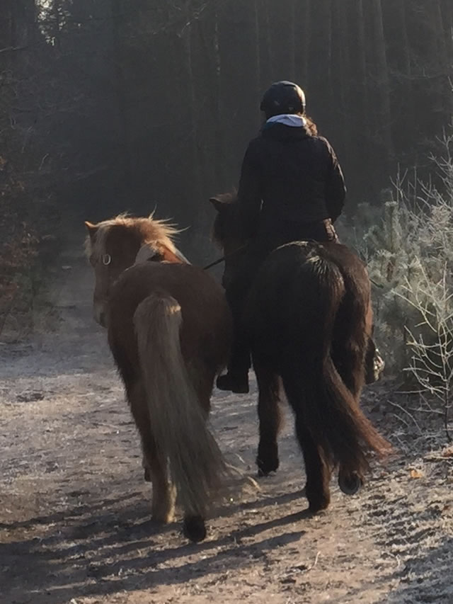 Succesvol leiden